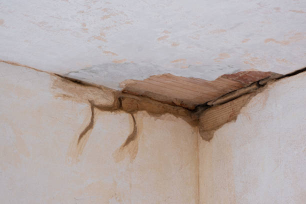Best Fire Damage Restoration  in Ecru, MS