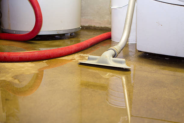 Best Commercial water damage restoration  in Ecru, MS