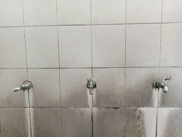 Best Water damage restoration near me  in Ecru, MS