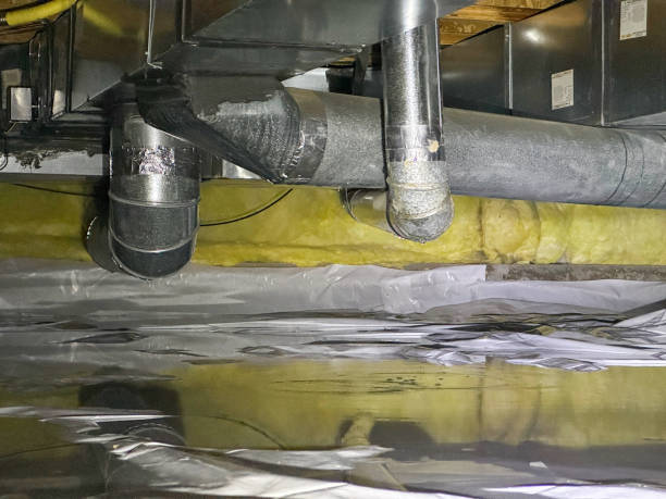 Best Flooded house restoration  in Ecru, MS