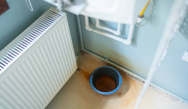 Reliable Ecru, MS Water damage restoration Solutions