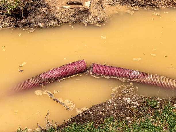 Best Local water damage restoration  in Ecru, MS
