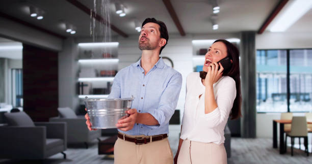 Best Water damage repair service  in Ecru, MS