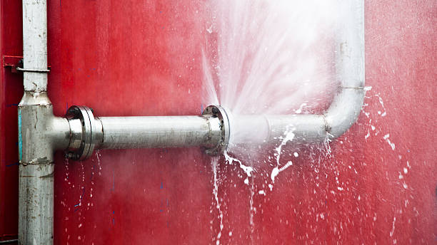 Best Carpet water damage restoration  in Ecru, MS